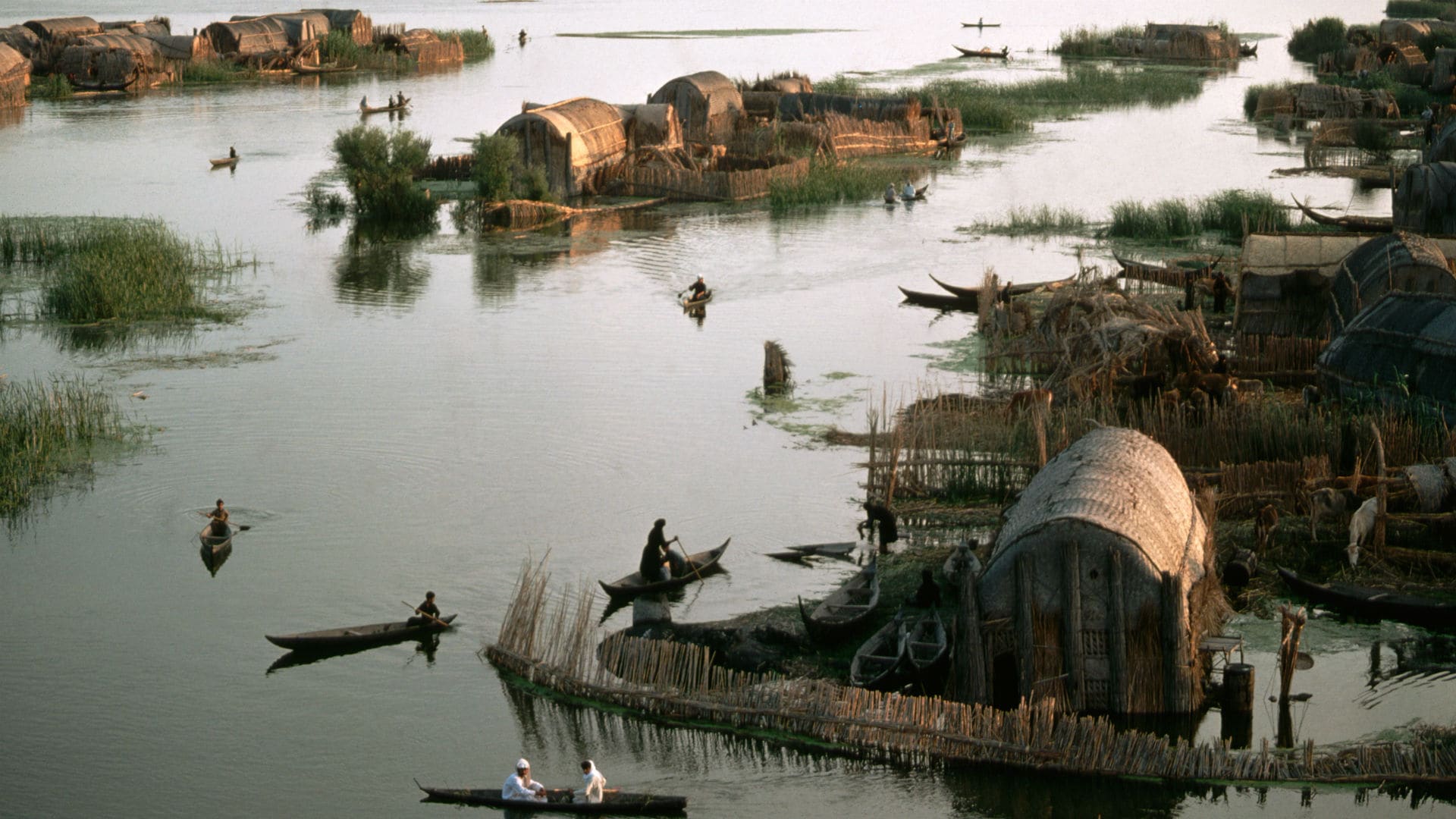 The Mesopotamian Marshes - the Garden of Eden