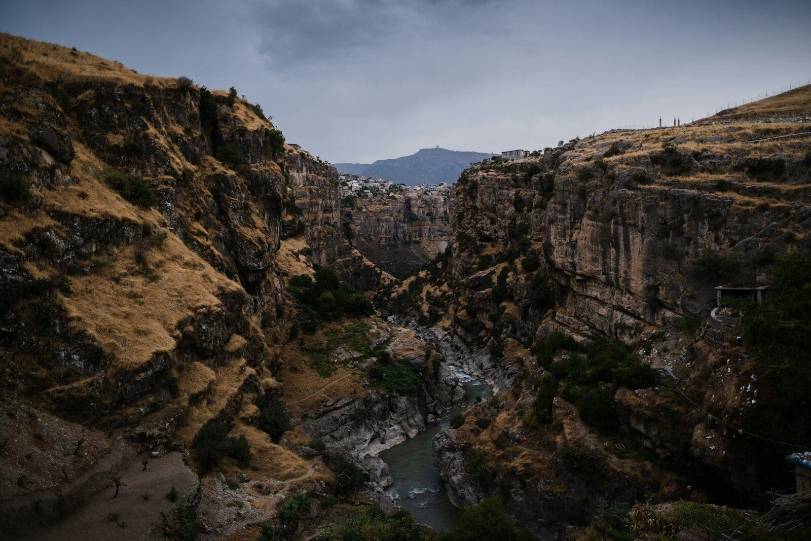 Mountain Vista