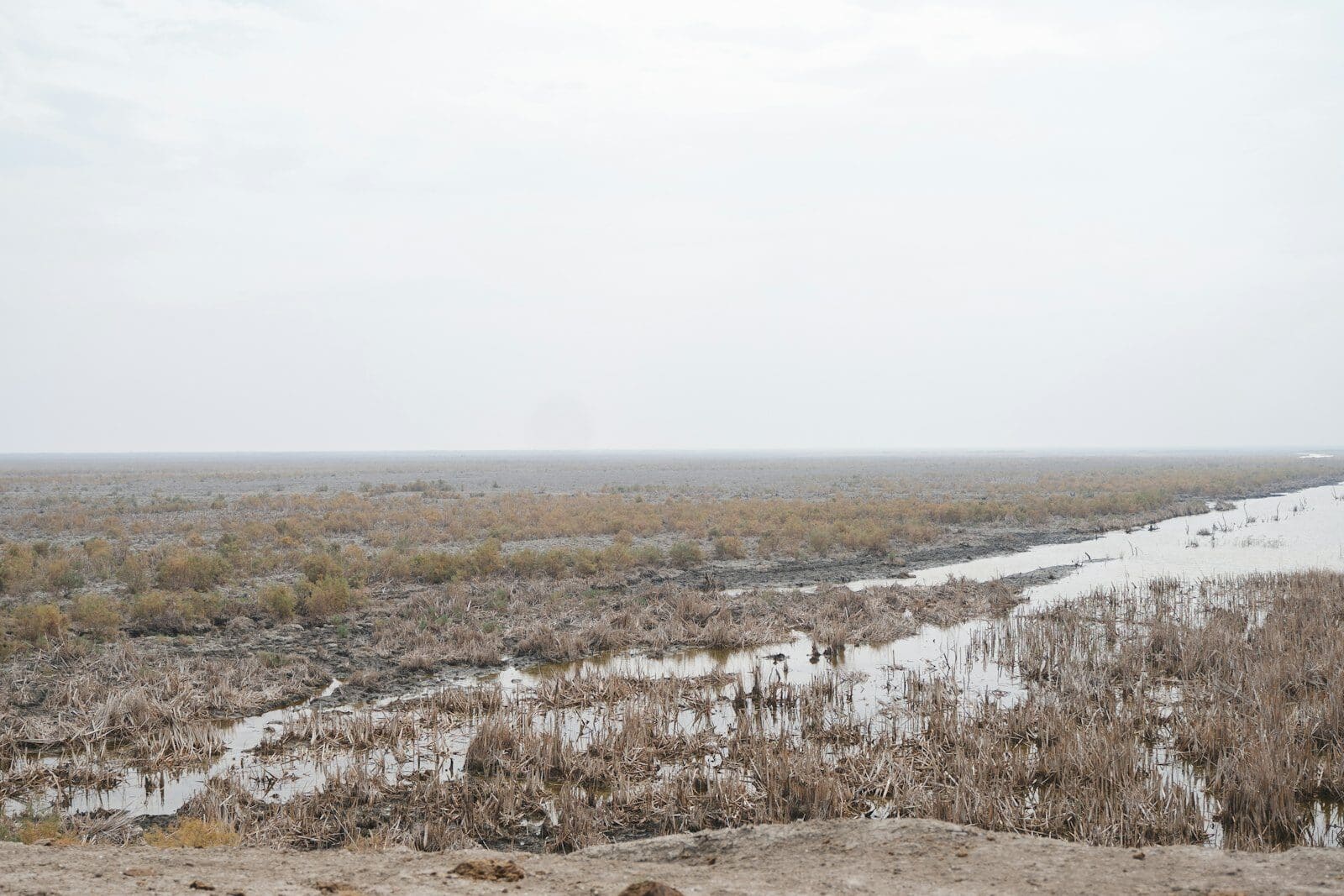 Shatt al-Arab